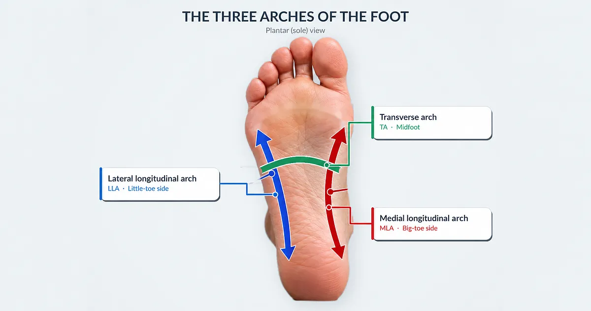 foot_arches_family podiatry Centre
